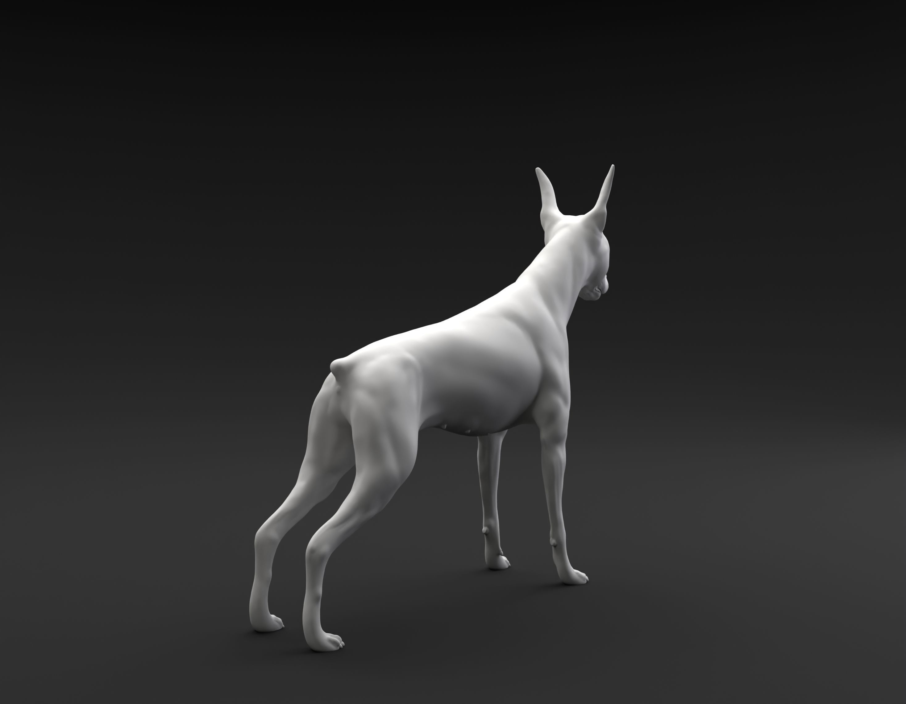Doberman Pinscher standing female and male for 3D printing 3D print model_2