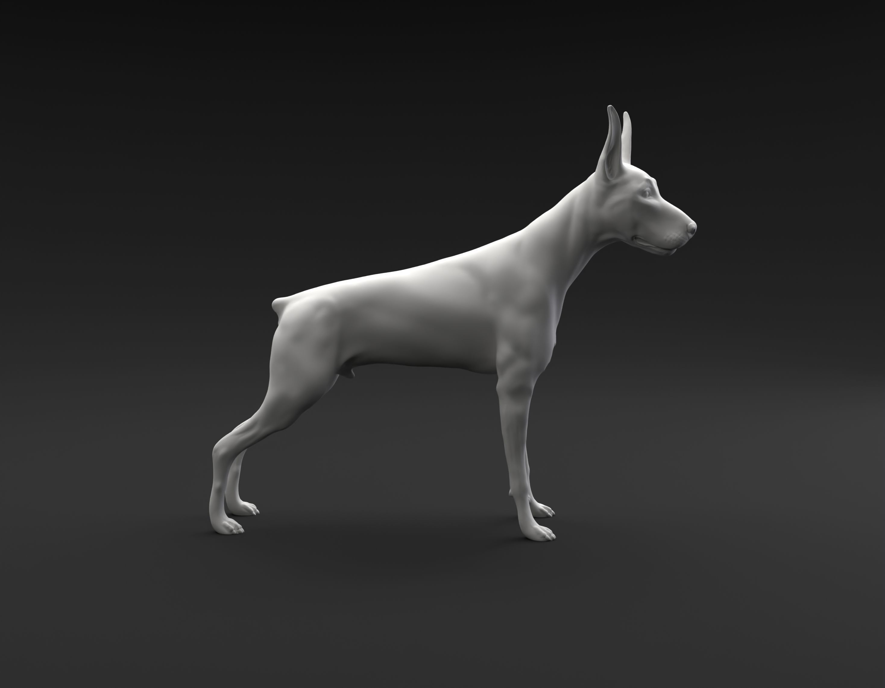 Doberman Pinscher standing female and male for 3D printing 3D print model_10