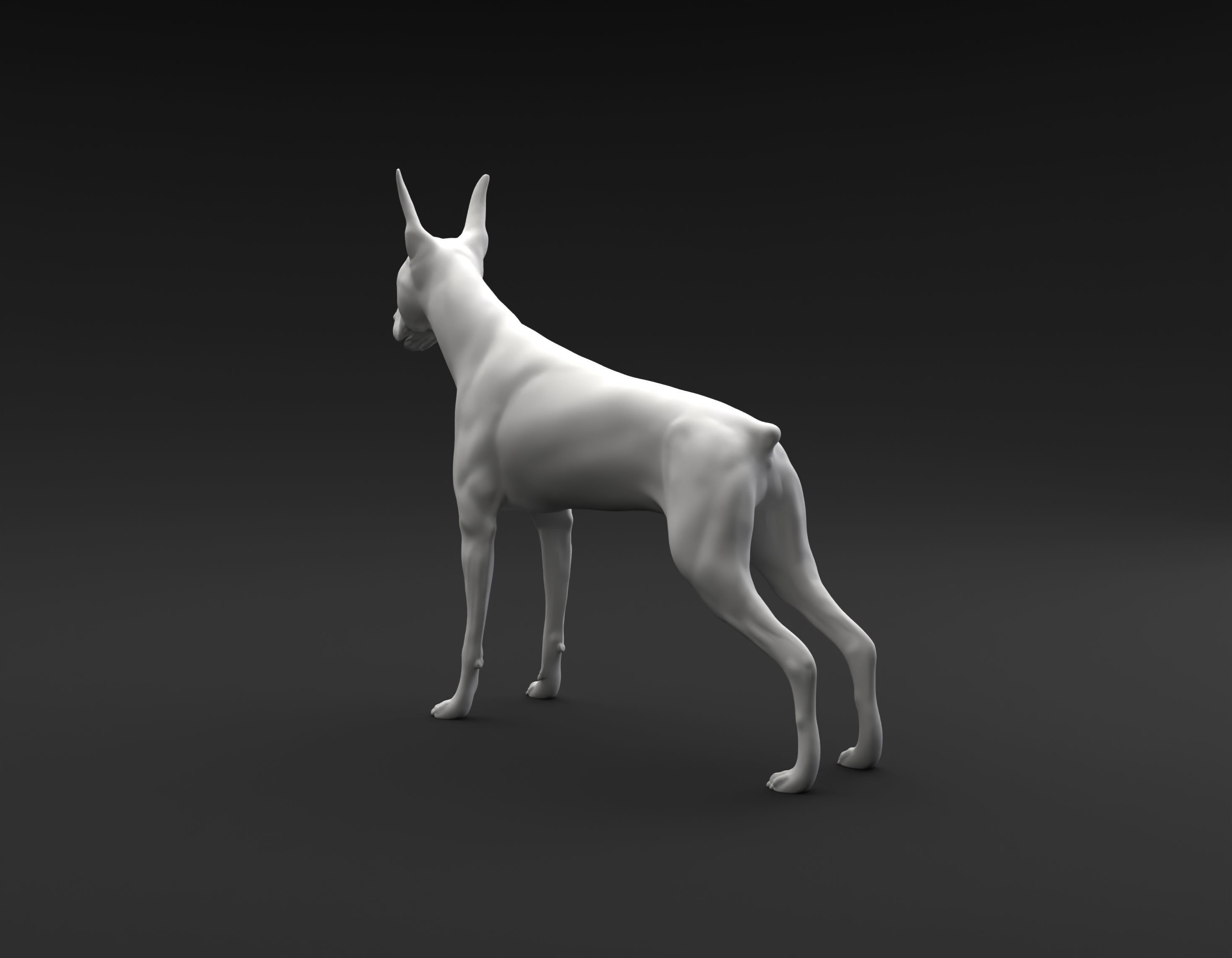 Doberman Pinscher standing female and male for 3D printing 3D print model_13