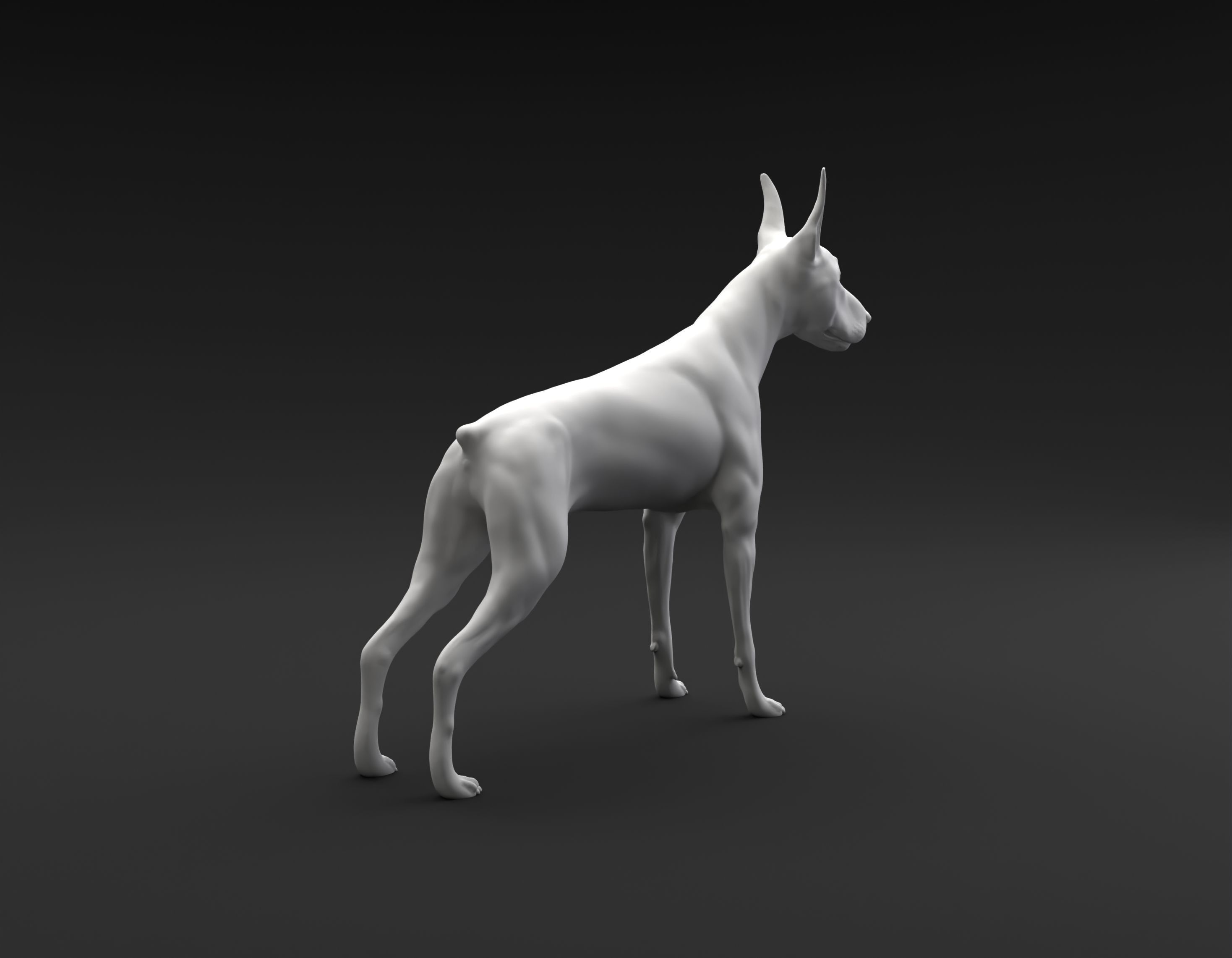 Doberman Pinscher standing female and male for 3D printing 3D print model_11