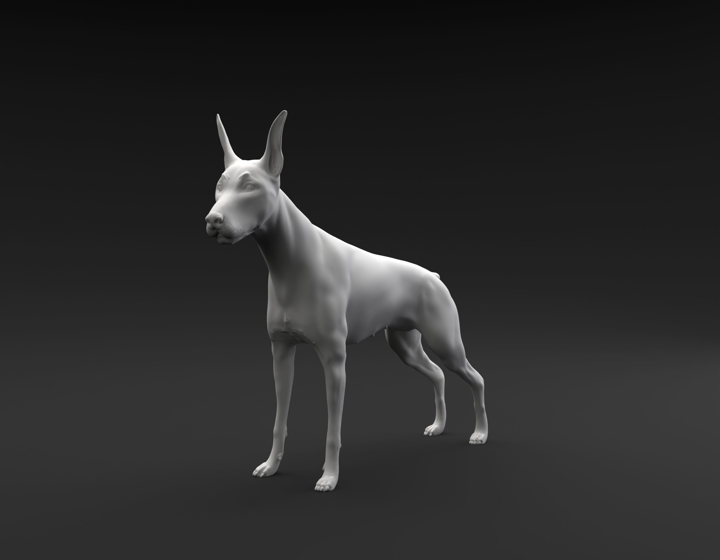 Doberman Pinscher standing female and male for 3D printing 3D print model_6