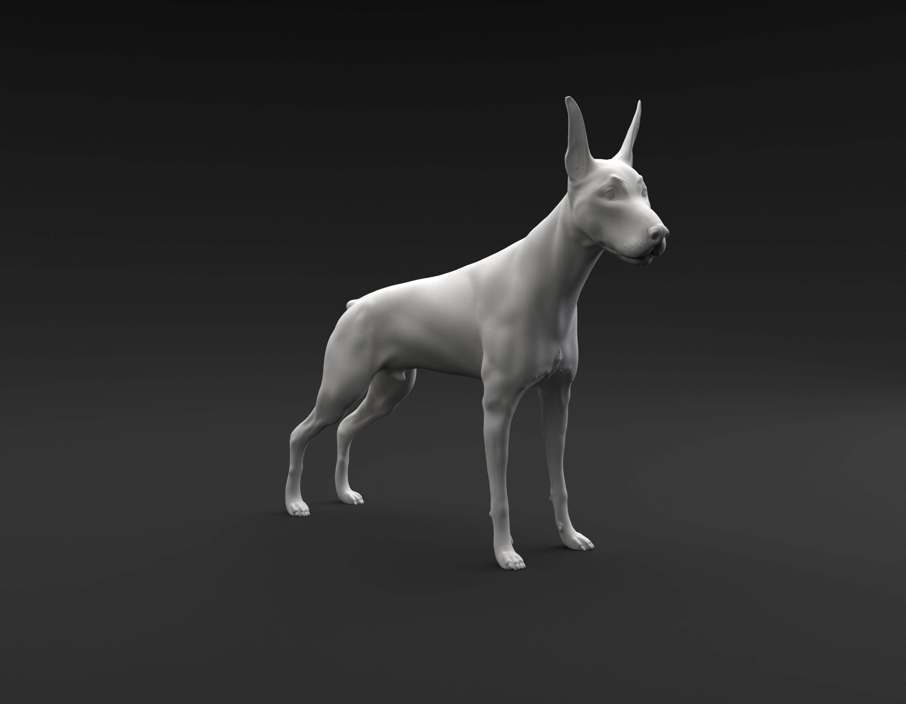 Doberman Pinscher standing female and male for 3D printing 3D print model_9