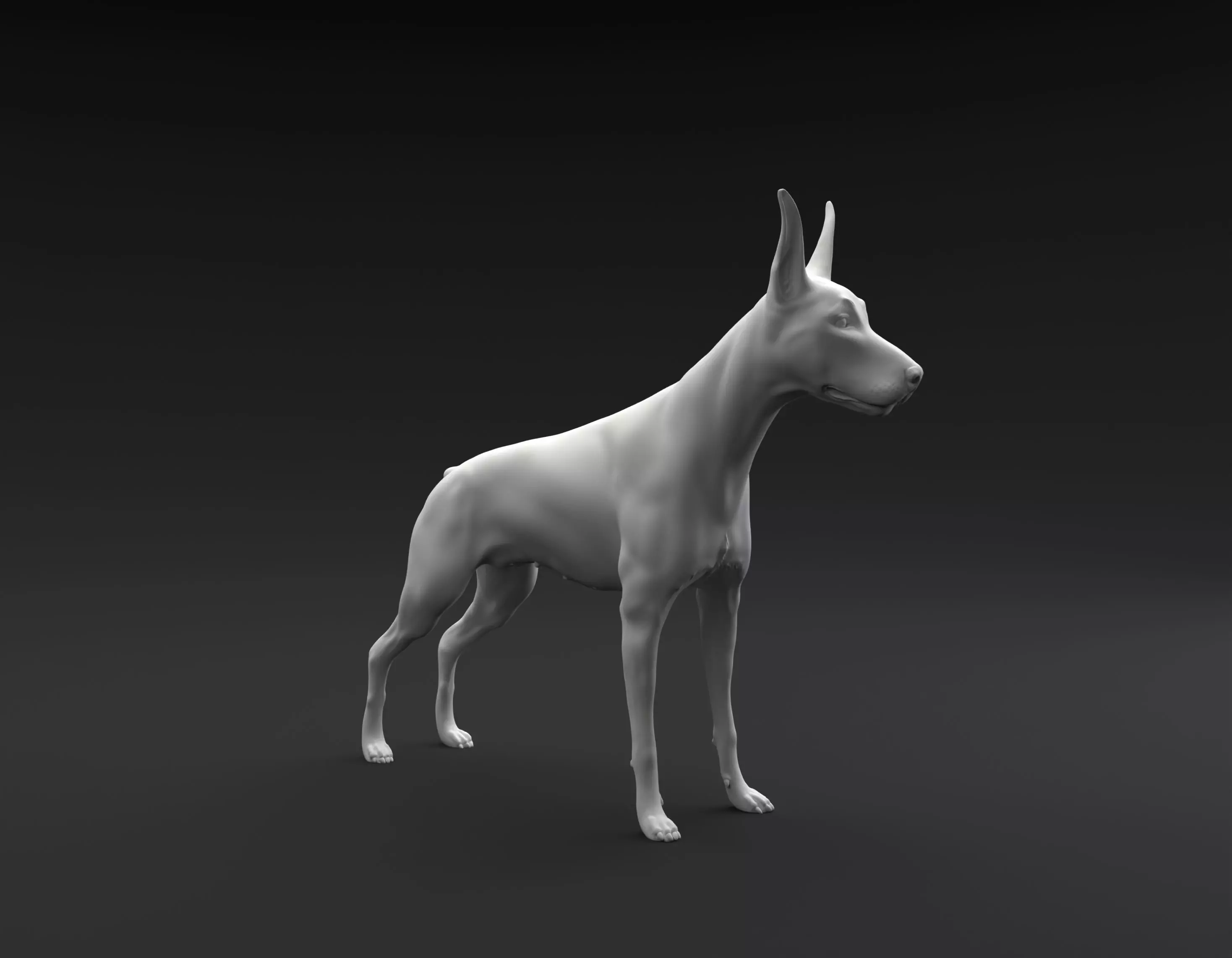 Doberman Pinscher standing female and male for 3D printing 3D print model_0