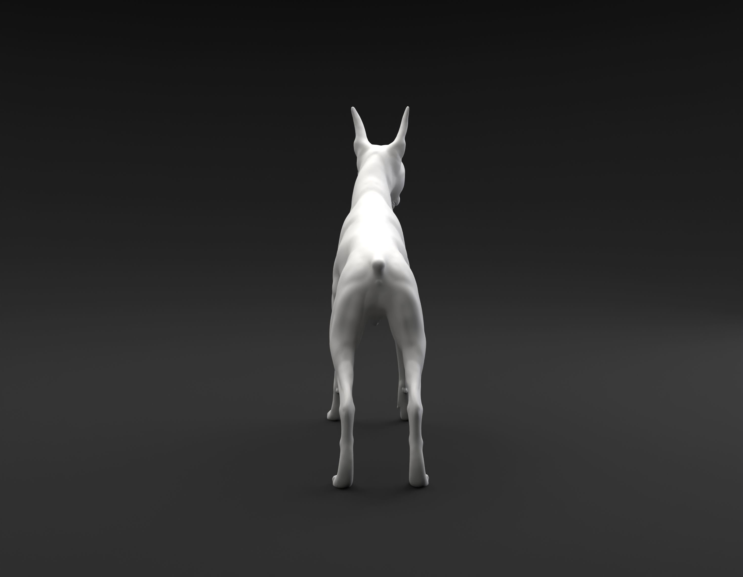 Doberman Pinscher standing female and male for 3D printing 3D print model_12