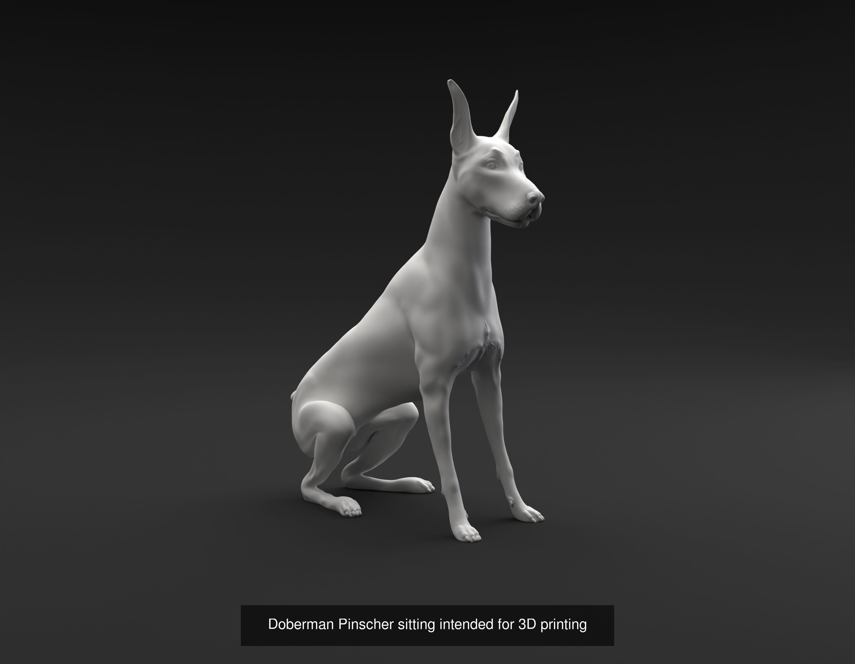 Doberman Pinscher collection intended for 3D printing _3