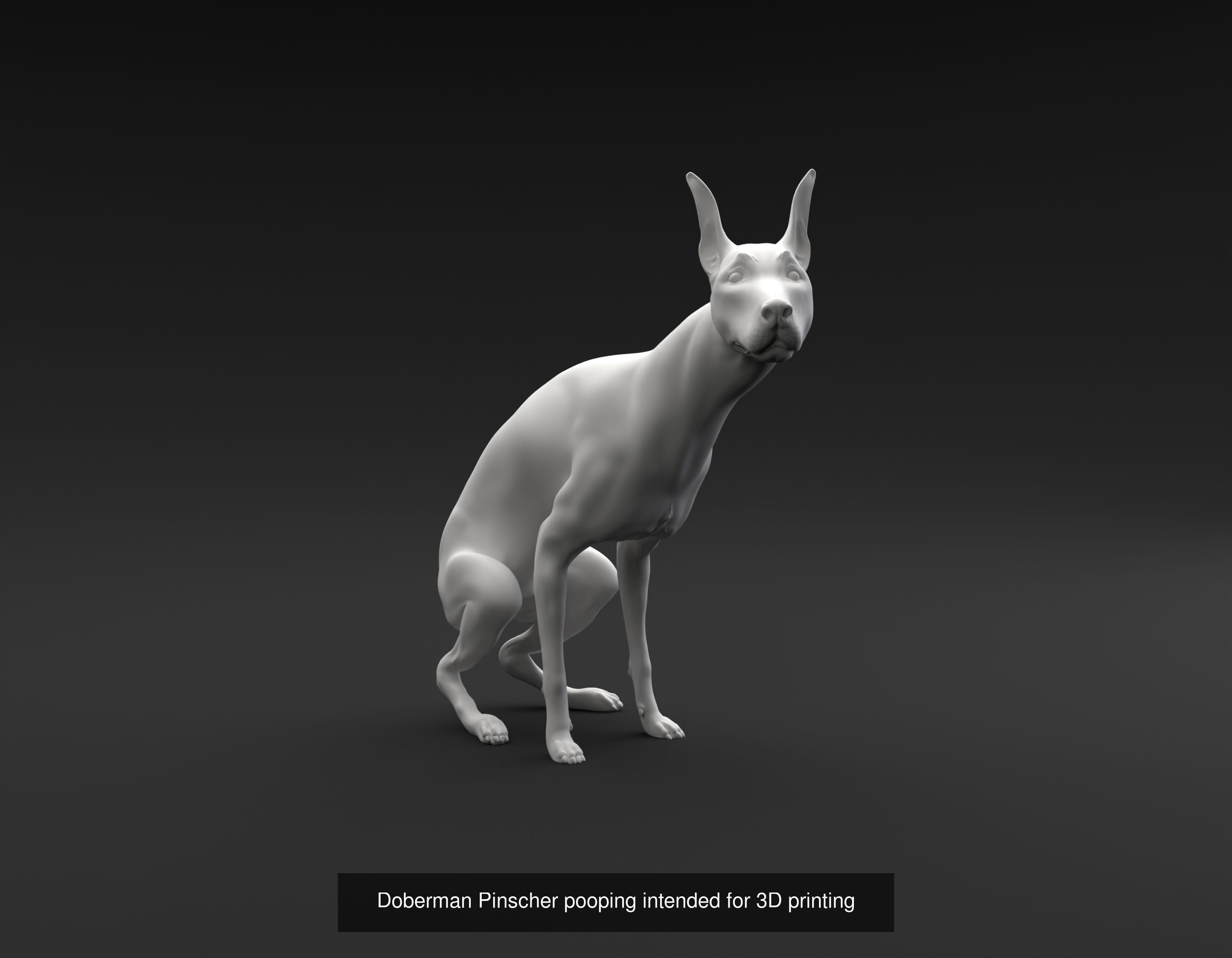 Doberman Pinscher collection intended for 3D printing _2