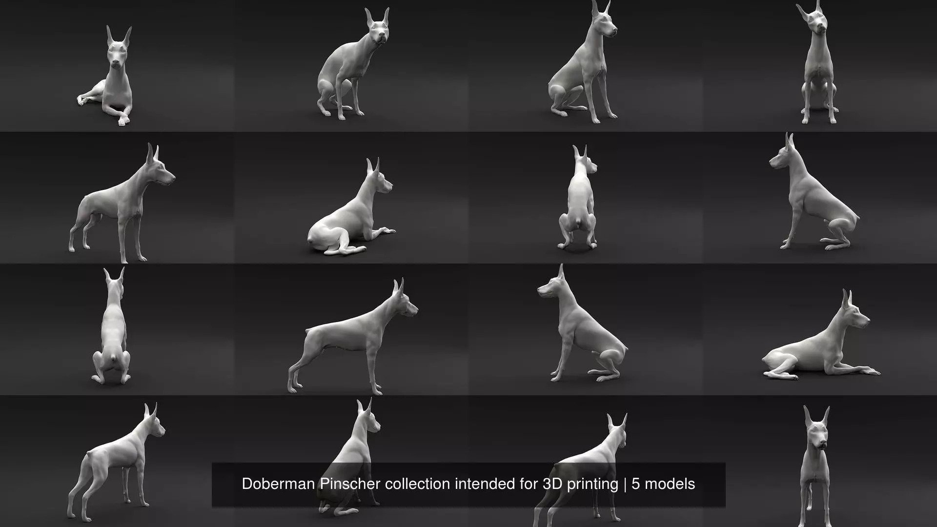 Doberman Pinscher collection intended for 3D printing _0