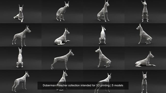 Doberman Pinscher collection intended for 3D printing 