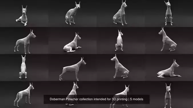 Doberman Pinscher collection intended for 3D printing 