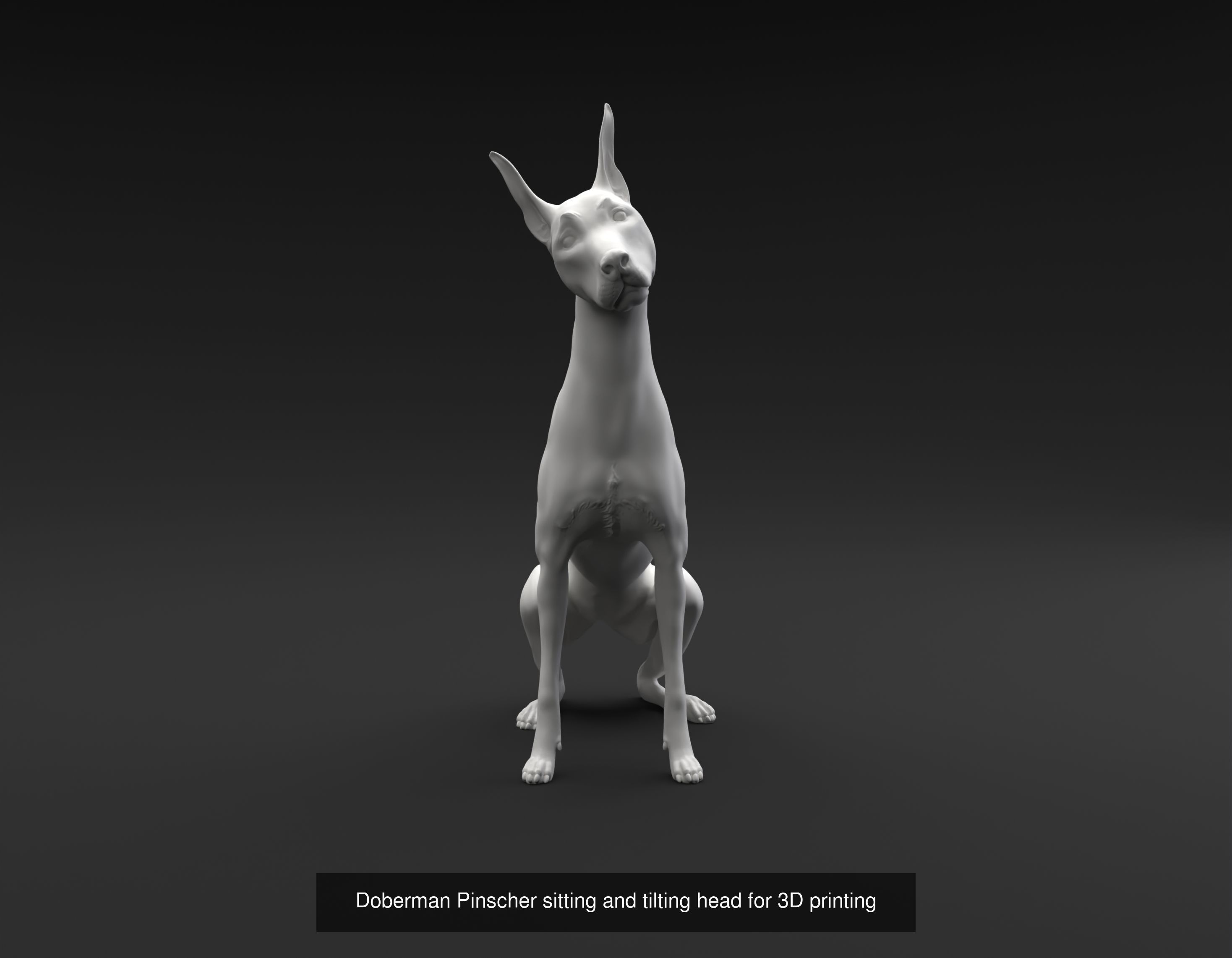 Doberman Pinscher collection intended for 3D printing _4