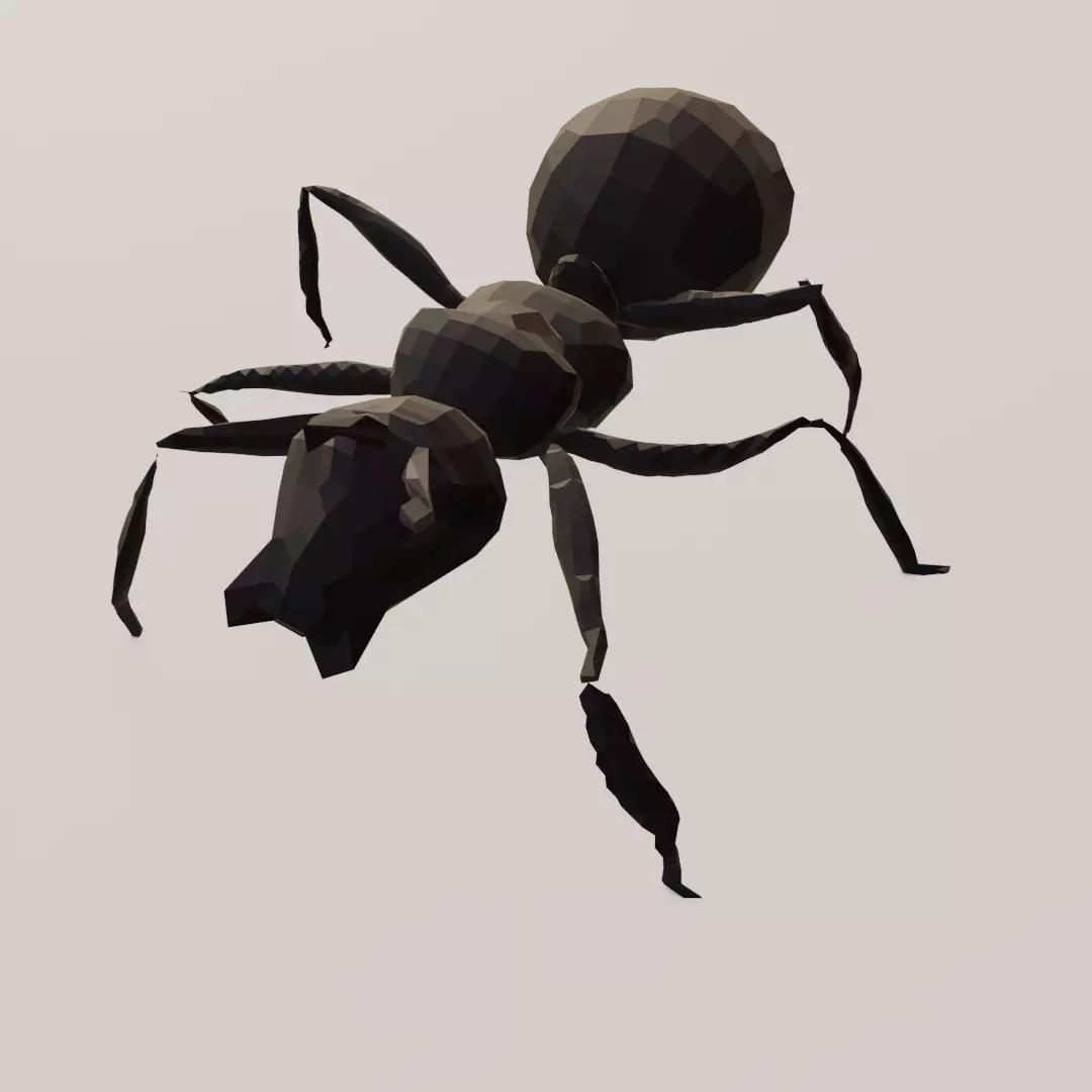 ant insect lowpoly bug Free low-poly 3D model_0