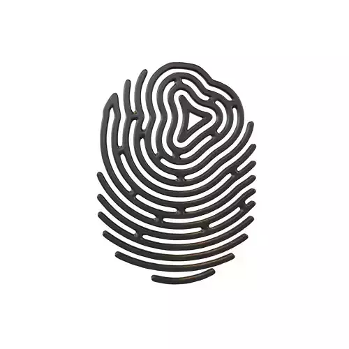 Fingerprint V2 001