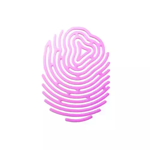 Fingerprint V2 003