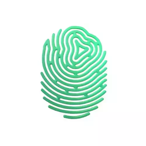 Fingerprint V2 004
