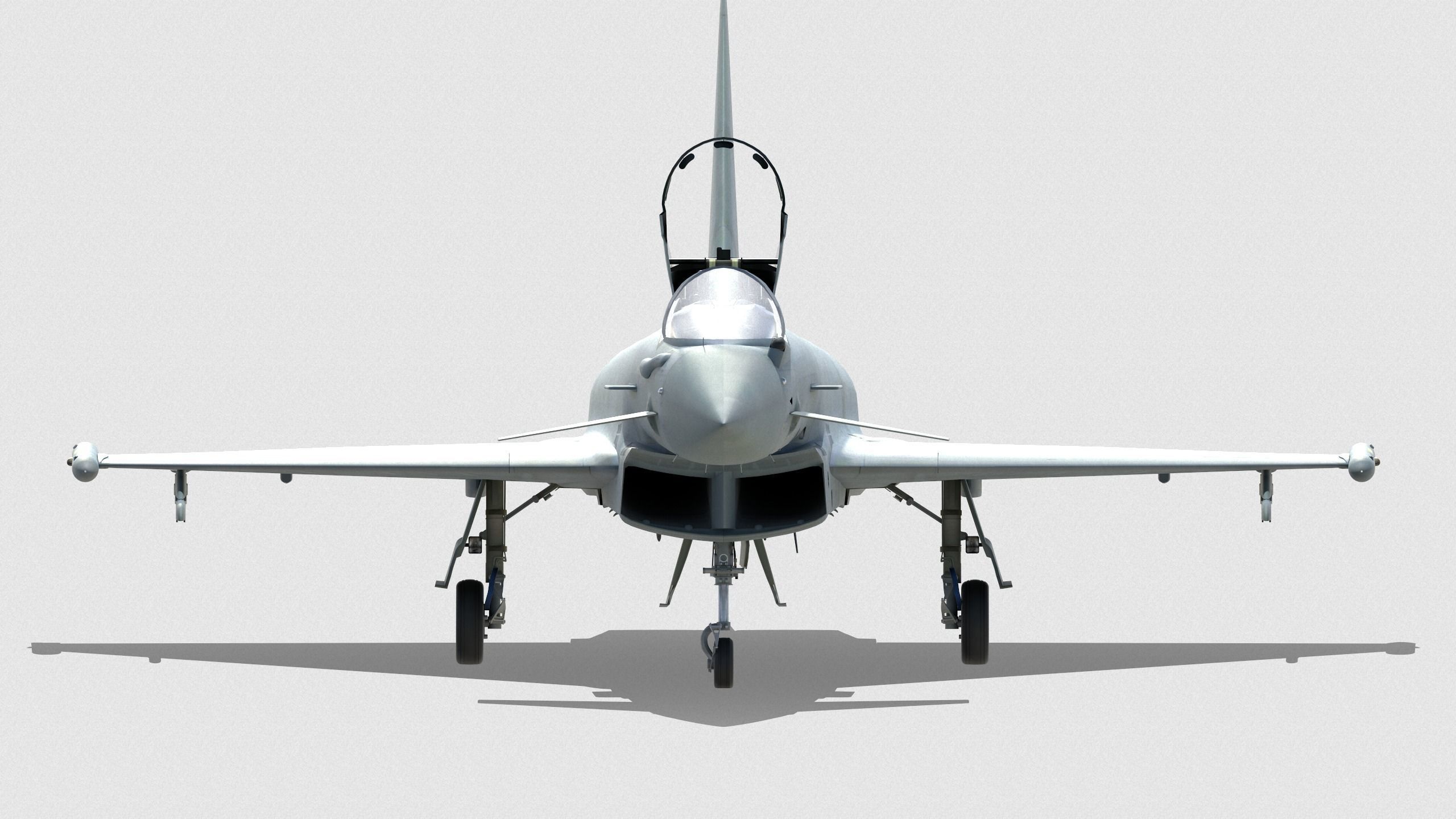 Eurofighter 2000 3D model_3