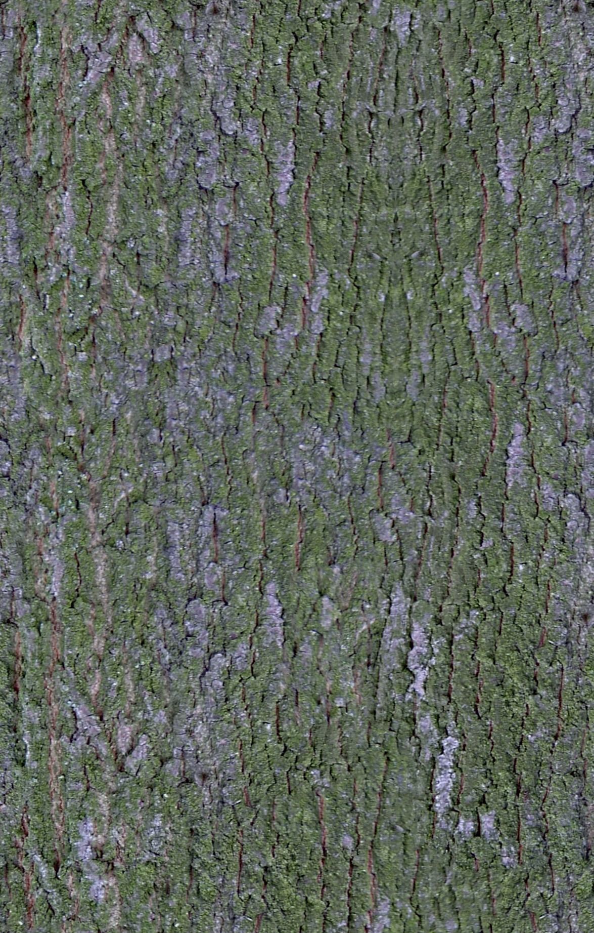 nice territory Texture_4