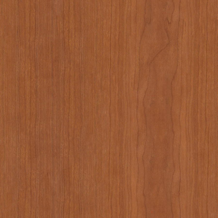 nice territory Texture_21