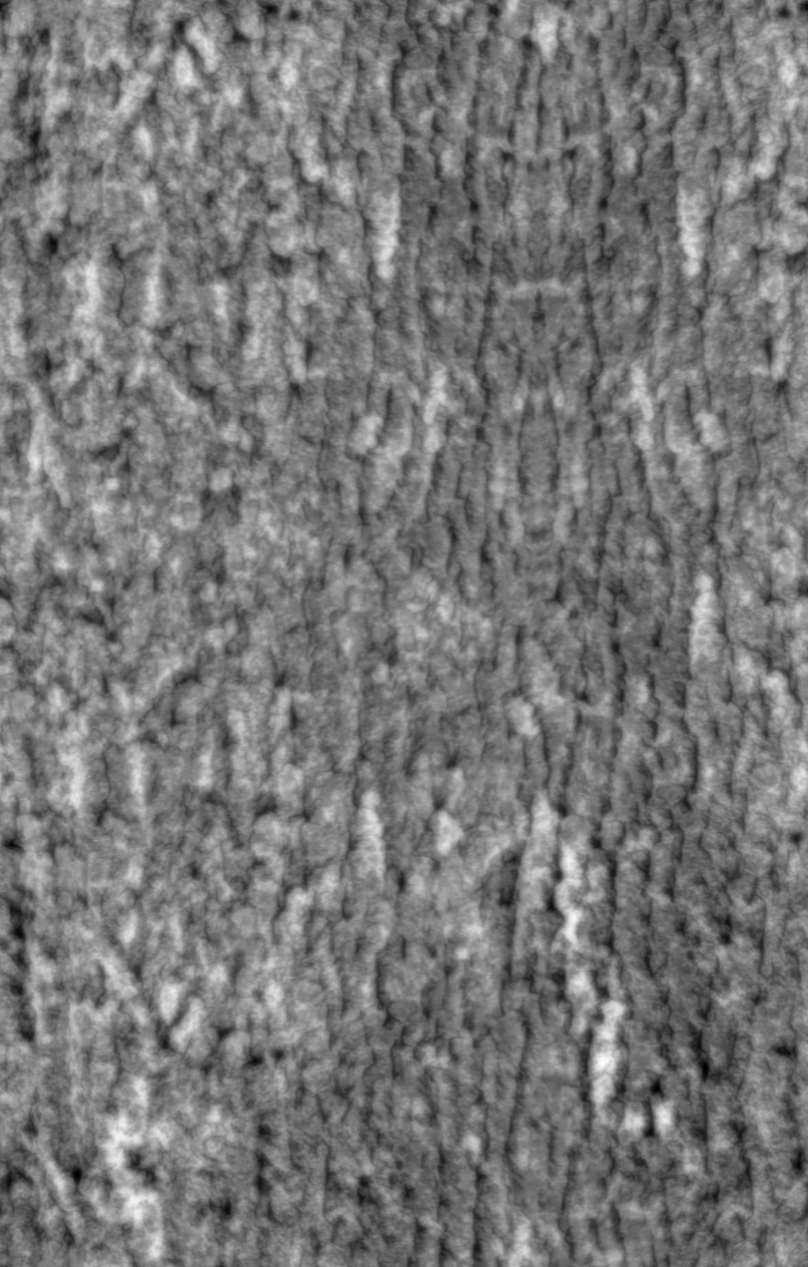 nice territory Texture_14