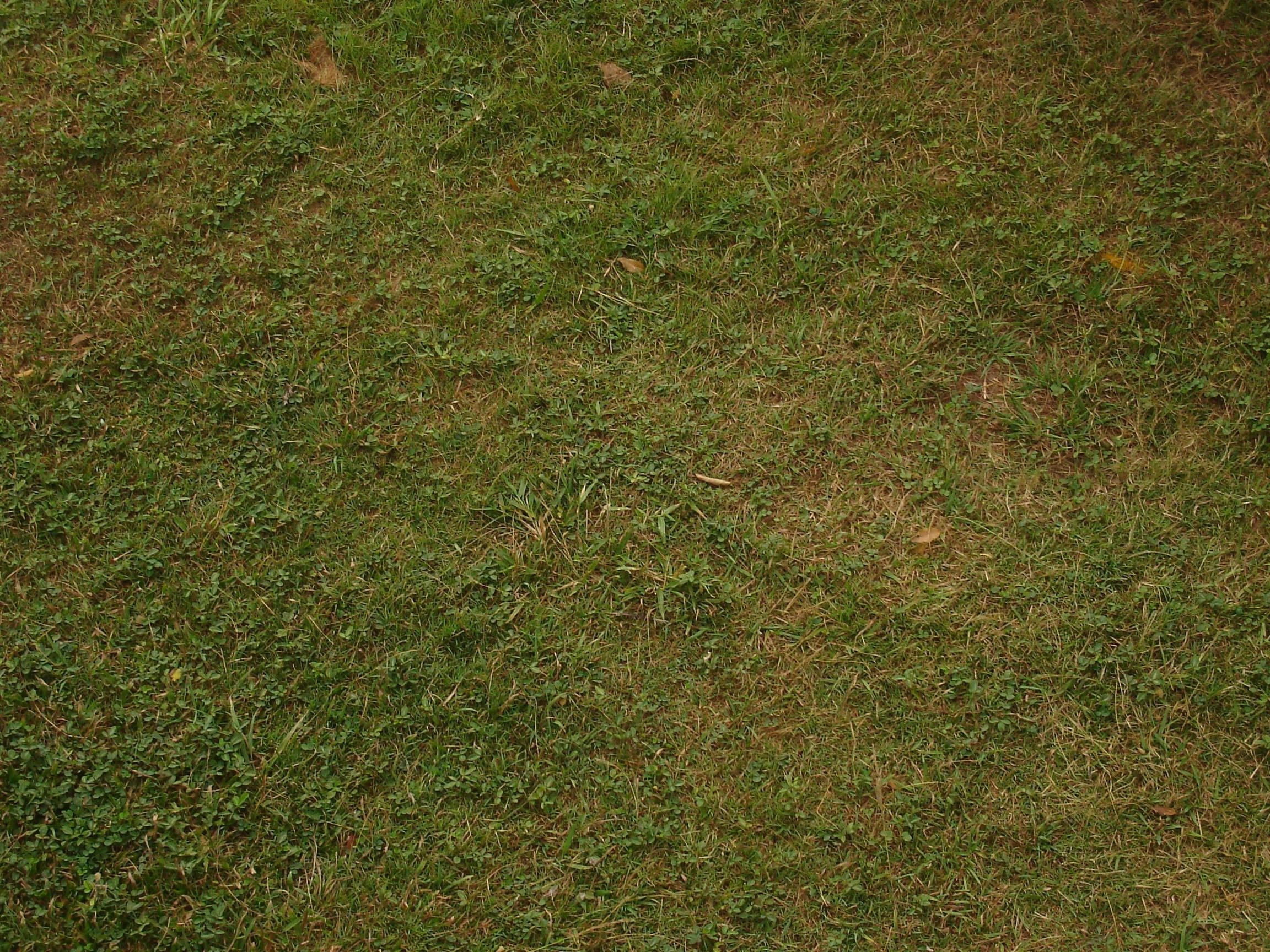 nice territory Texture_27