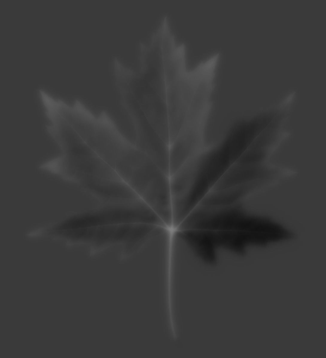 nice territory Texture_13