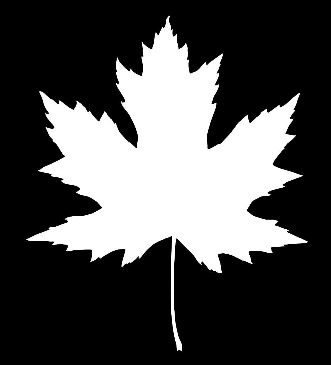 nice territory Texture_9