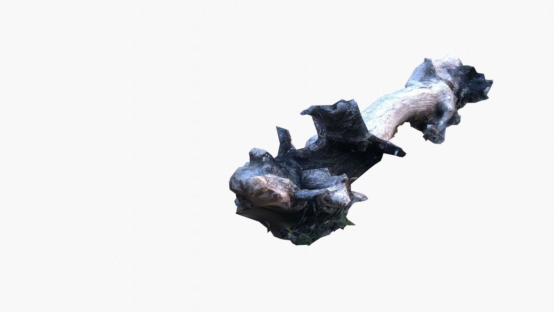 Lowpoly 3d Scanned Pine Trunks - Pinus Pinea and Pinaster Low-poly 3D model_10