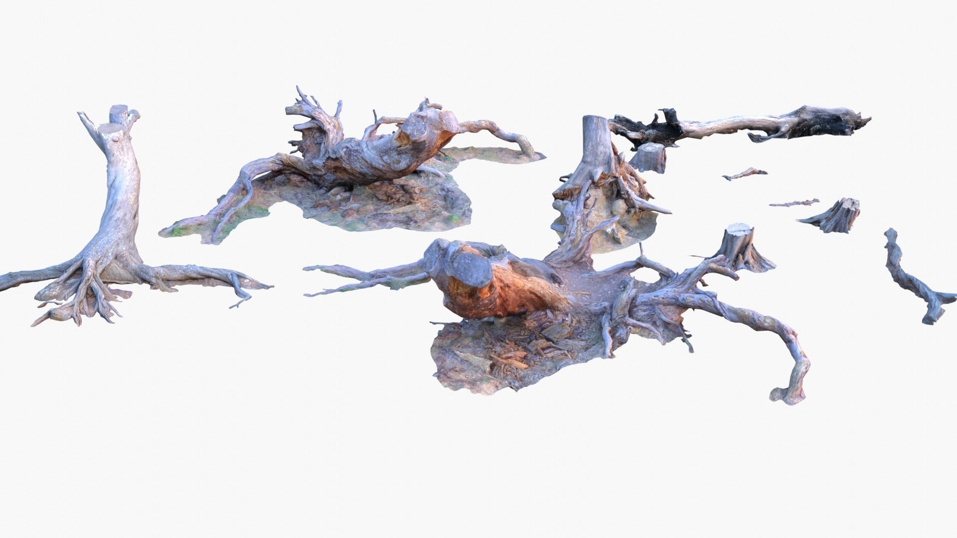 Lowpoly 3d Scanned Pine Trunks - Pinus Pinea and Pinaster Low-poly 3D model_2