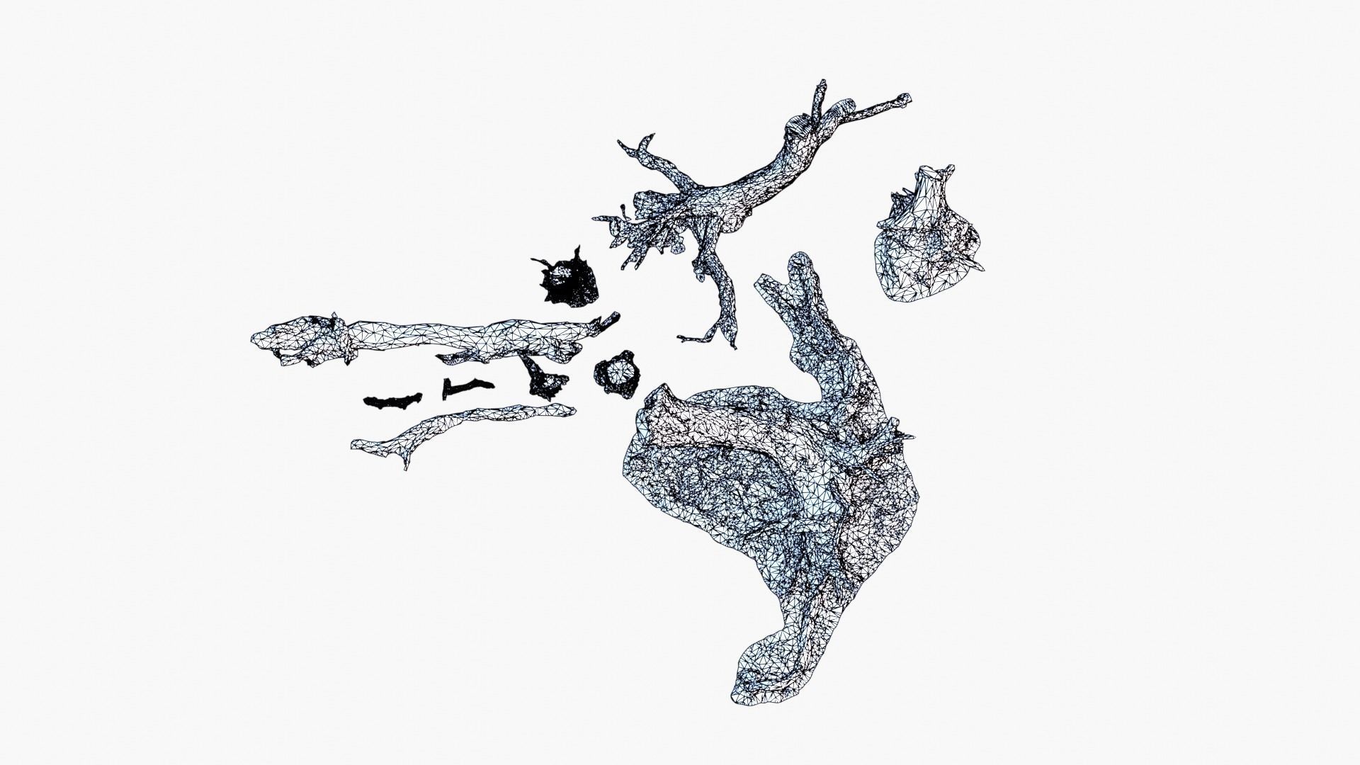 Lowpoly 3d Scanned Pine Trunks - Pinus Pinea and Pinaster Low-poly 3D model_23