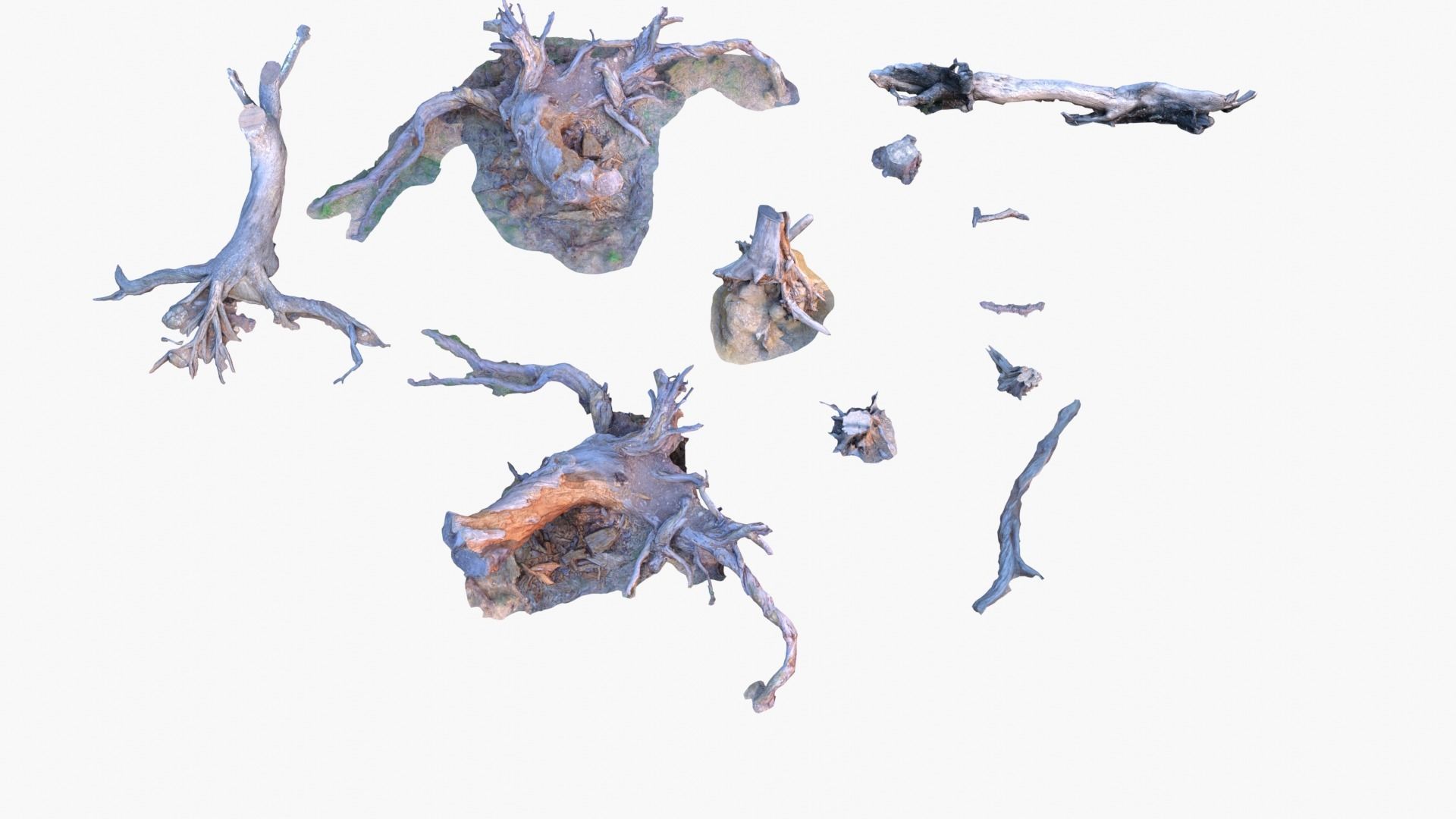 Lowpoly 3d Scanned Pine Trunks - Pinus Pinea and Pinaster Low-poly 3D model_1