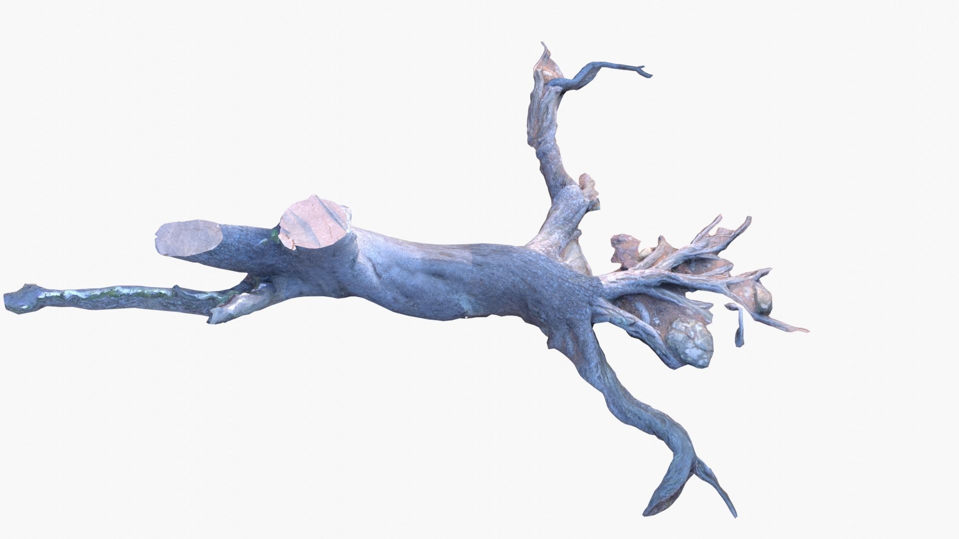 Lowpoly 3d Scanned Pine Trunks - Pinus Pinea and Pinaster Low-poly 3D model_21