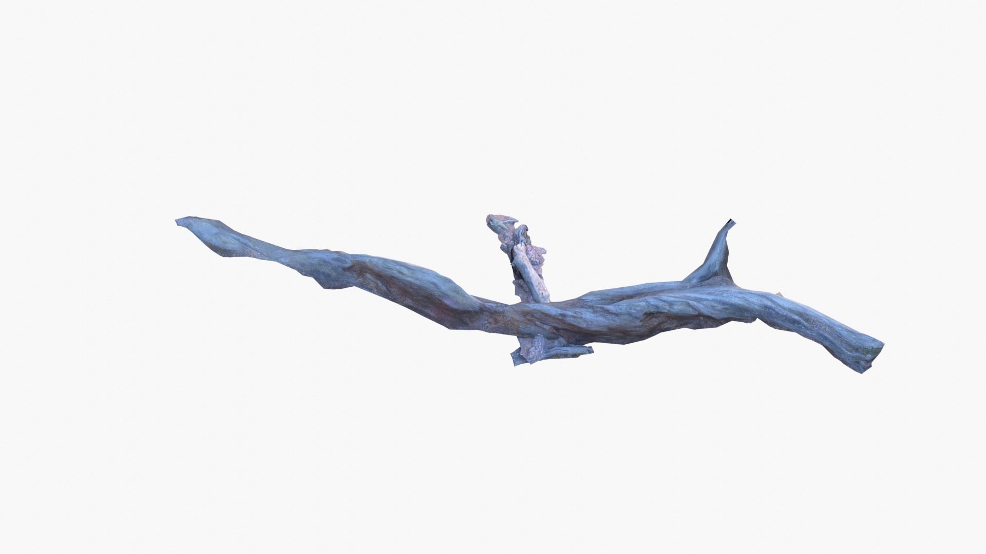 Lowpoly 3d Scanned Pine Trunks - Pinus Pinea and Pinaster Low-poly 3D model_9