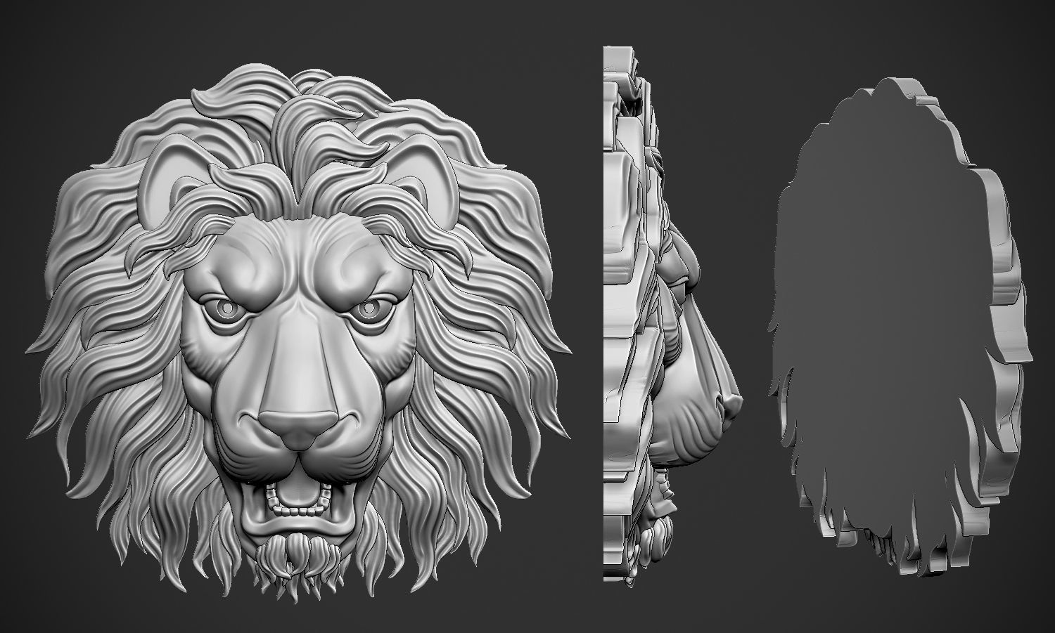 Lion Head Relief 3D print model_5