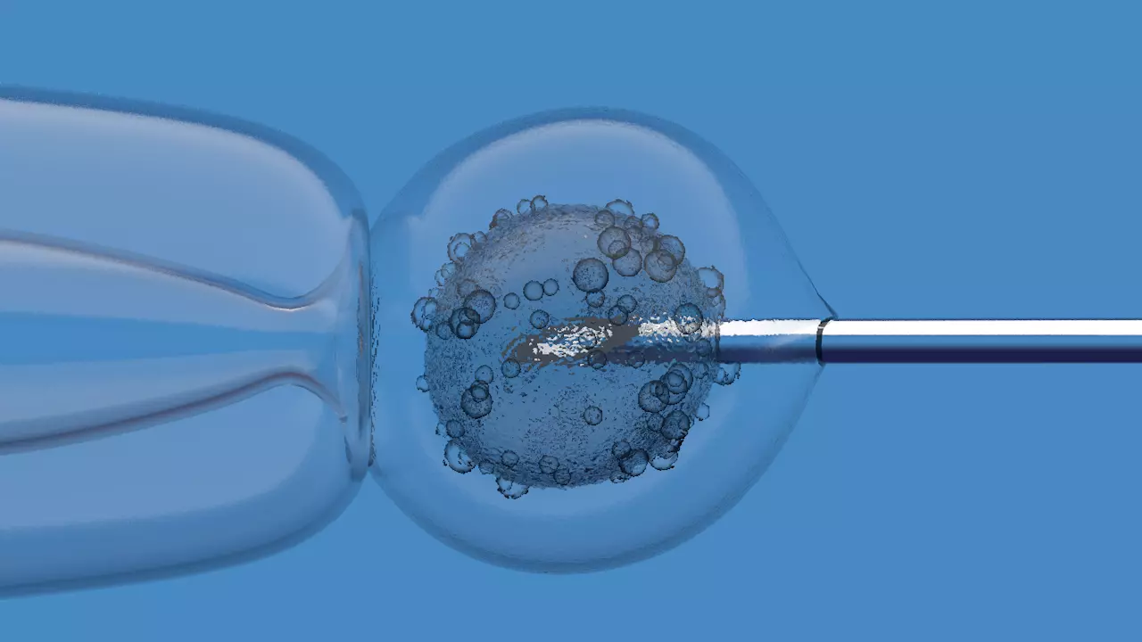 Medical Animation 3D model_0