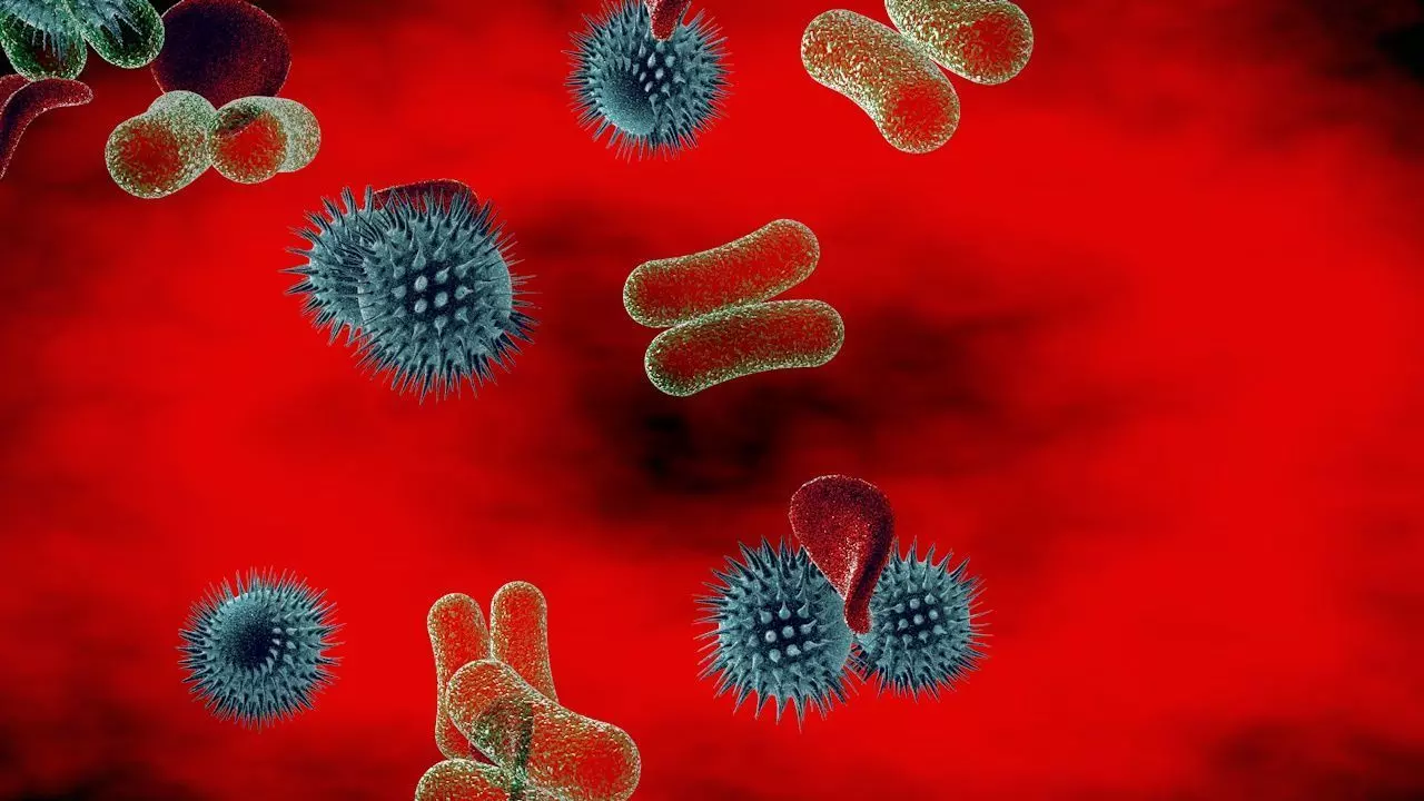 Blood Bacteria Virus 3D model_0
