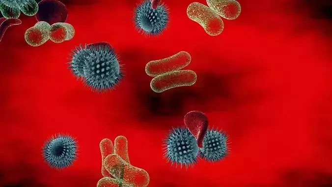 Blood Bacteria Virus 3D model