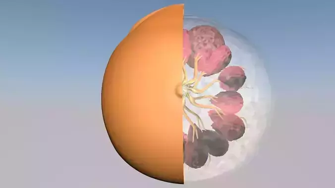Breast with cancer cell animated 3D model