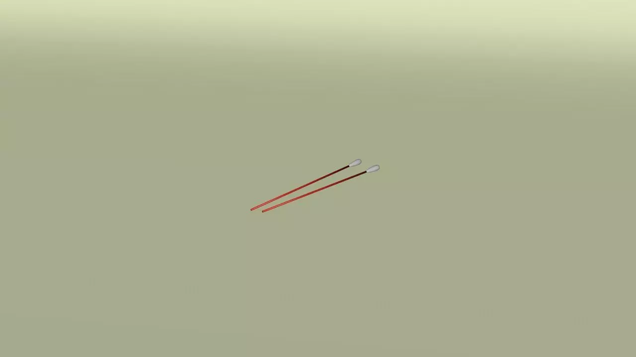 Cotton Swab 3D model_0