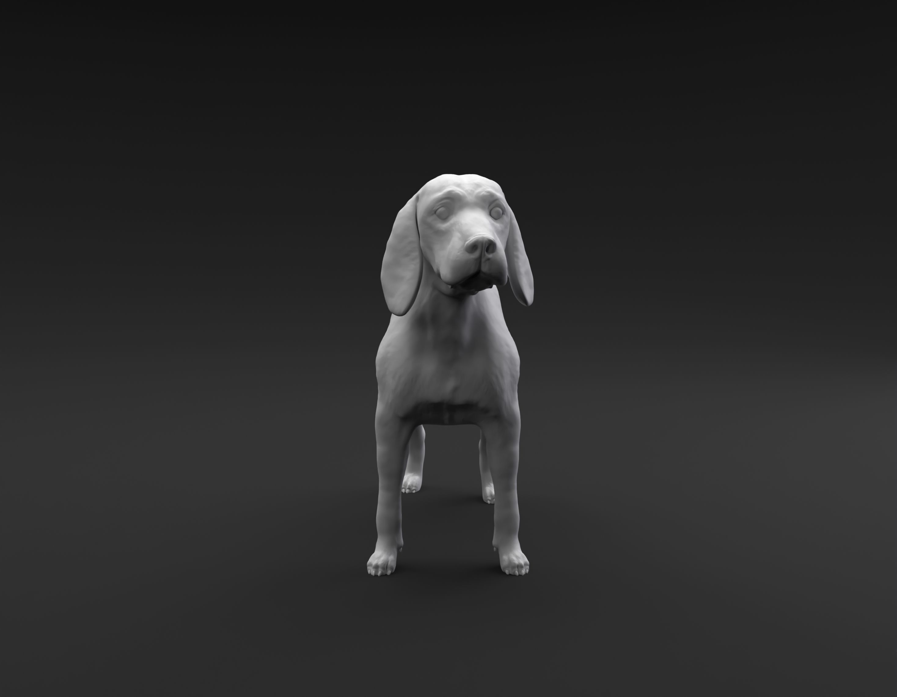 Beagle standing female and male for 3D printing 3D print model_15