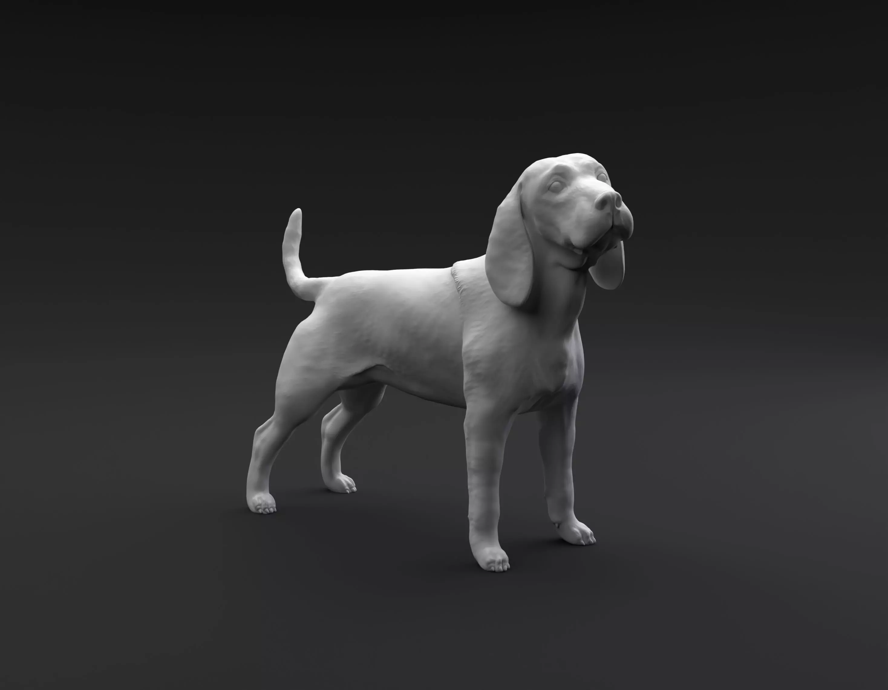 Beagle standing female and male for 3D printing 3D print model_0