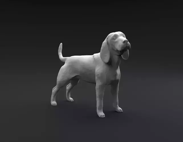 Beagle standing female and male for 3D printing 3D print model