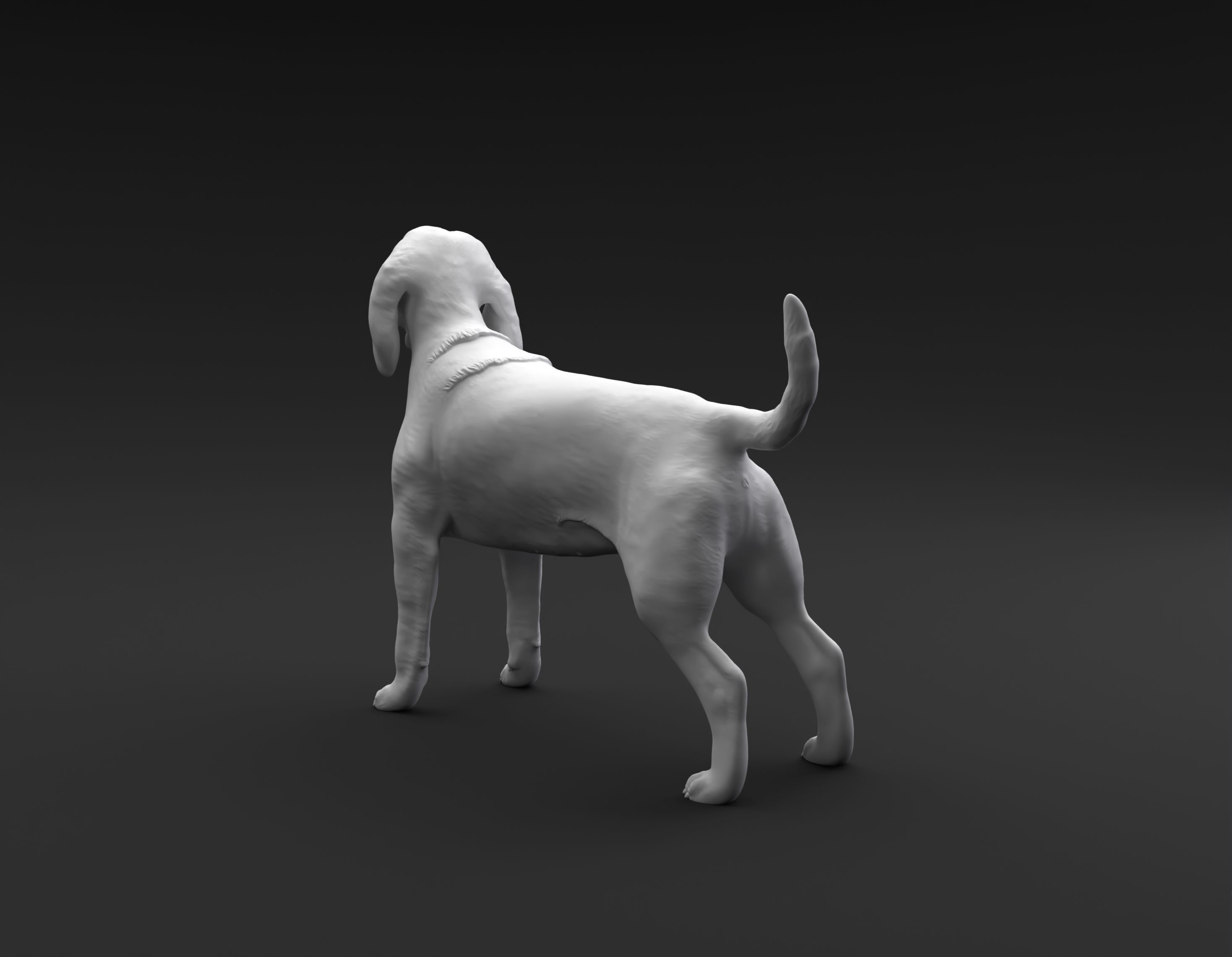 Beagle standing female and male for 3D printing 3D print model_5