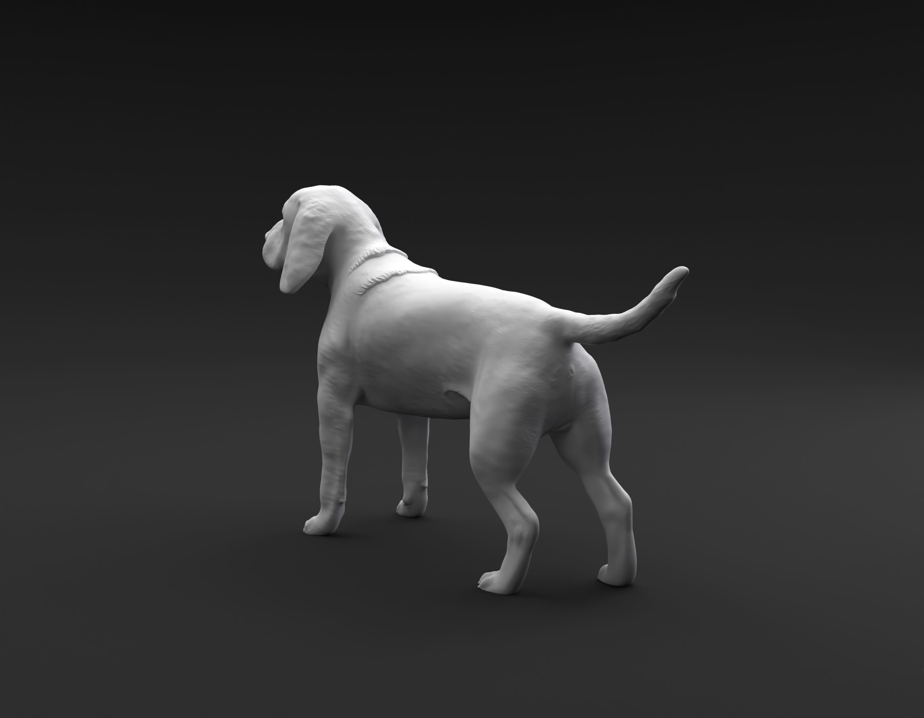 Beagle standing female and male for 3D printing 3D print model_12