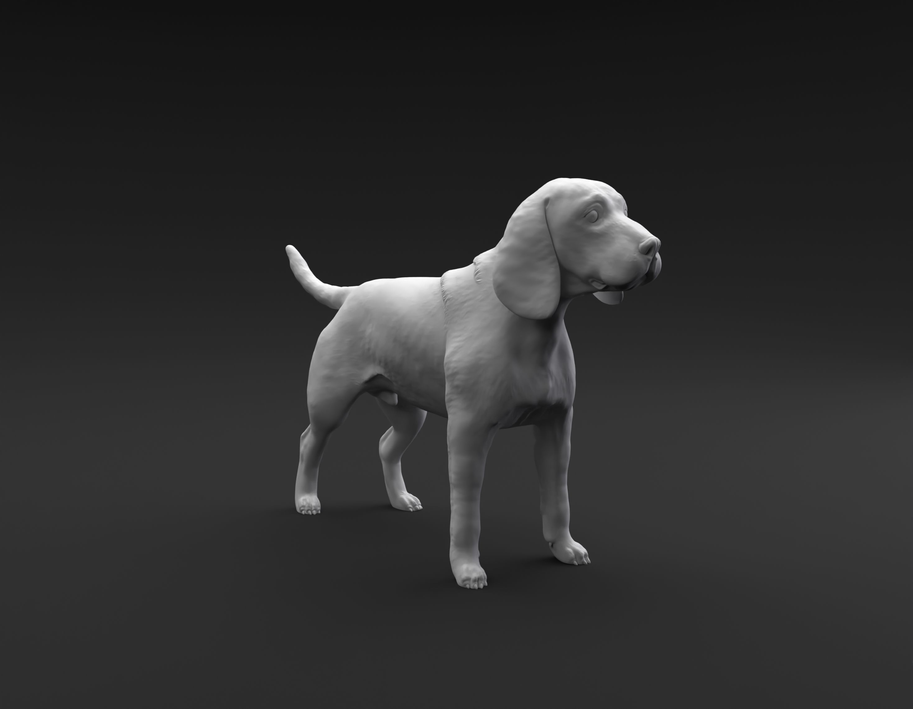 Beagle standing female and male for 3D printing 3D print model_1