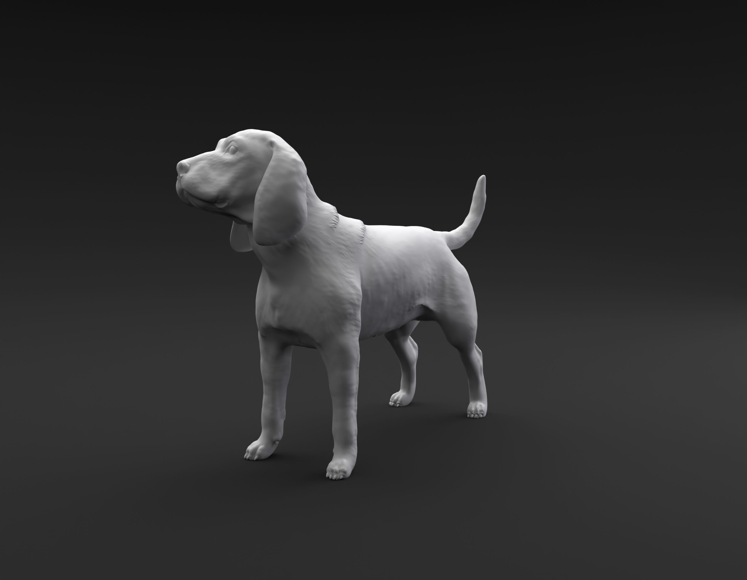 Beagle standing female and male for 3D printing 3D print model_7