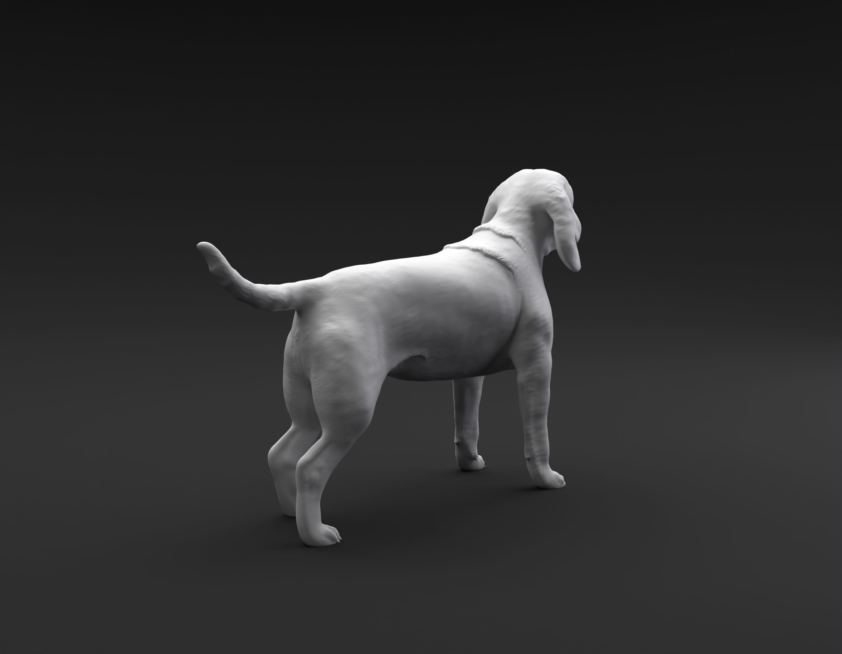 Beagle standing female and male for 3D printing 3D print model_10