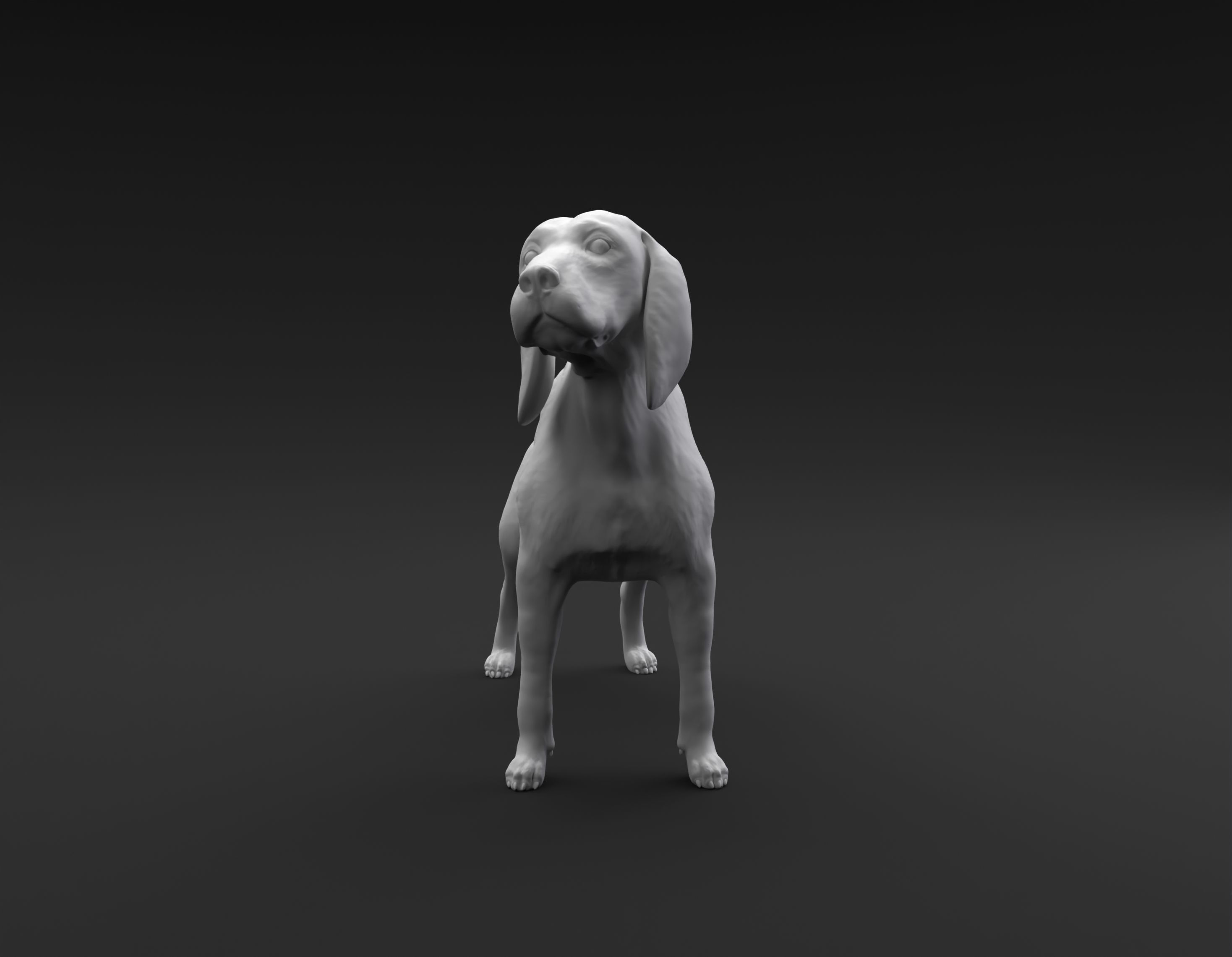 Beagle standing female and male for 3D printing 3D print model_8