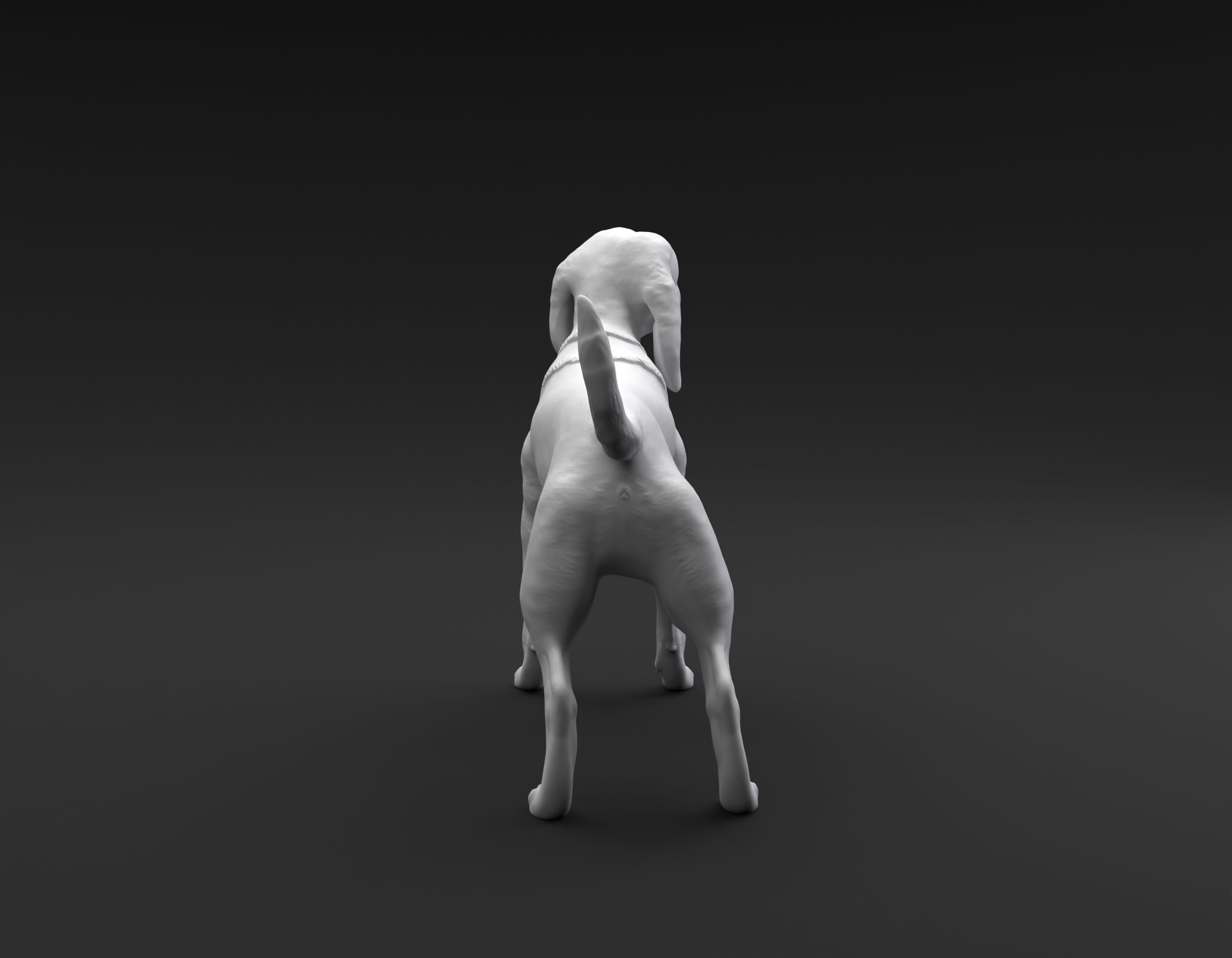 Beagle standing female and male for 3D printing 3D print model_4