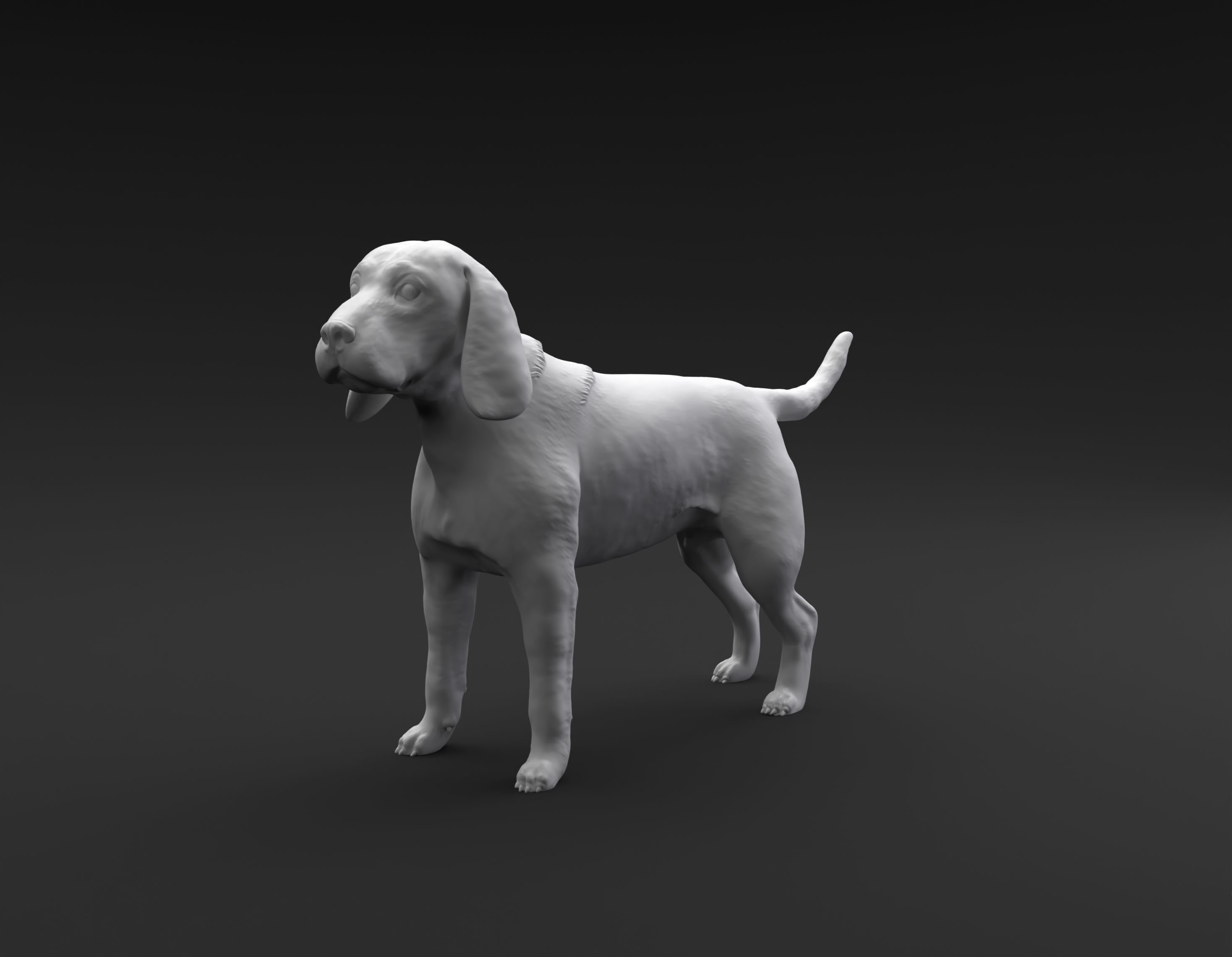 Beagle standing female and male for 3D printing 3D print model_14