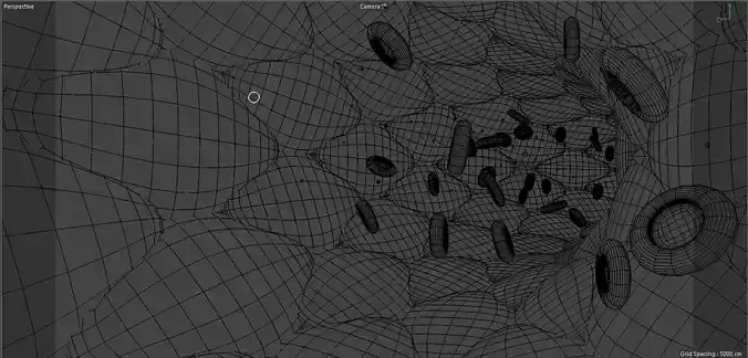 Blood flow animation