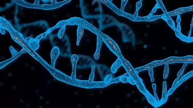 DNA animation Low-poly 3D model